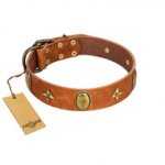 "Space Warrior" FDT Artisan Tan Leather Labrador Collar with Ovals and Stars