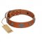 "Foxy Nature" FDT Artisan Tan Leather Labrador Collar with Chrome Plated Brooches