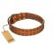 "Terra-cotta" FDT Artisan Tan Leather Labrador Collar with Two Rows of Studs
