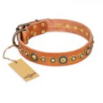 "Feast of Luxury" FDT Artisan Tan Leather Labrador Collar with Old Bronze Look Circles