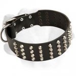 Labrador Extra Wide Leather Collar With Silver Drops Decoration