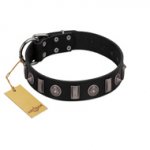 "Silver Spikes" Exclusive FDT Artisan Black Leather Labrador Collar