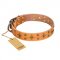 "Top-Flight" FDT Artisan Adorned Tan Leather Labrador Collar