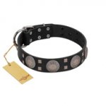 "Sun in Shining" Modern FDT Artisan Black Leather Labrador Collar with Studs and Stars