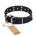 "Mystic Skulls" Decorated Leather Labrador Collar with Skulls and Studs