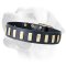 Exclusively designed Labrador leather collar