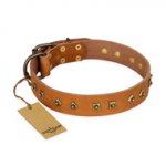 "Autumn Story" FDT Artisan Leather Labrador Collar with Old Bronze Look Studs