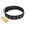 "Star Excitement" Modern FDT Artisan Black Leather Labrador Collar with Studs and Stars