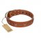 "Star Shine" Exclusive FDT Artisan Tan Leather Labrador Collar with Silver-Like Adornments
