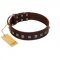 "Kingly Grace" FDT Artisan Brown Leather Labrador Collar with Silver-like Dotted Studs