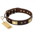 "Rich Fashion" FDT Artisan Decorated Leather Labrador Collar with Plates and Studs
