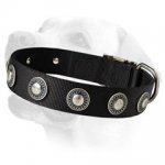 High Fashion Labrador Nylon Collar With Carved Plates