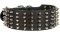 Wide high-grade leather Labrador collar with 5 rows of nickel spikes
