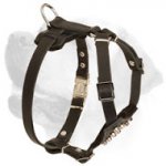 Stylish Studded Leather Harness For Labrador Puppy