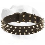 3 Rows Spikes Decorative Collar For Labrador
