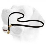 Patrolling Nylon Labrador Leash With Floating Rings