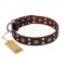 "Pirate Treasure" FDT Artisan Exciting Brown Leather Labrador Collar with Studs