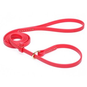 Durable Red Biothane Labrador Leash and Collar Combo