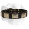Wide Leather Collar For Labrador With Super Strong Nickel Plated Hardware