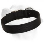 Basic Nylon Collar For Labrador