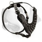 Buy Spiked Dog Harness Manufacturers