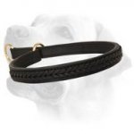 Labrador Silent Collar With Elegant Braid Decoration