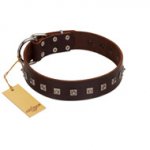 "Kingly Grace" FDT Artisan Brown Leather Labrador Collar with Silver-like Dotted Studs