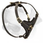 Tracking/Walking dog harness made of leather for Labrador dogs