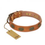 "Magic Amulet" FDT Artisan Tan Leather Labrador Collar with Oval Studs
