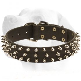 3 Rows Spikes Decorative Collar For Labrador