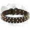 3 Rows Spikes Decorative Collar For Labrador