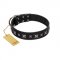 "Polar Lights" Designer FDT Artisan Black Leather Labrador Collar with Silver-Like Studs