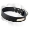 Labrador Classy Leather Collar With ID Tag