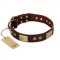 "Shining Armour" FDT Artisan Brown Leather Labrador Collar with Decorations