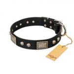 "Pirates Gold" FDT Artisan Black Leather Labrador Collar with Old Silver Look Plates and Skulls
