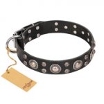 "Vintage Necklace" FDT Artisan Studded Black Leather Labrador Collar