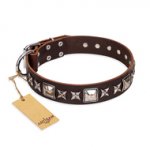 "Perfect Impression" FDT Artisan Brown Leather Labrador Collar with Silvery Square Studs