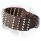 3 inch Spiked and Studded Leather Collar for Labrador