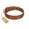 "Golden Crossbones" Handmade FDT Artisan Tan Leather Labrador Collar with Plates and Skulls