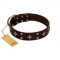 "Trendy Candy" FDT Artisan Brown Leather Labrador Collar Adorned with Stars and Tiny Squares