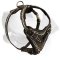Super Stylish Leather Harness With Barbed Wire Handmade Painting