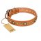 "Feast of Luxury" FDT Artisan Tan Leather Labrador Collar with Old Bronze Look Circles