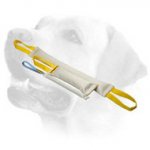 Training Fire Hose Labrador Bite Tugs Set