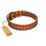 "Terra-cotta" FDT Artisan Tan Leather Labrador Collar with Two Rows of Studs