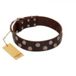 "Shadow Warrior" FDT Artisan Mystic Brown Leather Labrador Collar with Runes