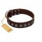 "Starry-Eyed" Best Quality FDT Artisan Brown Designer Leather Labrador Collar with Small Plates