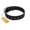 "Flower Rhapsody" FDT Artisan Premium Quaulity Black Leather Labrador Collar