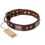 "Loving Owner" FDT Artisan Decorated Leather Labrador Collar with Plates and Studs