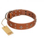 "Dreamy Gleam" FDT Artisan Tan Leather Labrador Collar Adorned with Stars and Squares