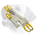 Fire Hose Labrador Bite Tugs Training Set